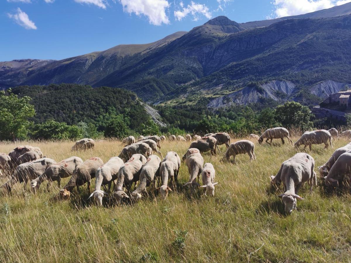 La Peyregoune, Logement En Pleine Nature Et Table D'Hotes Blieux Luaran gambar